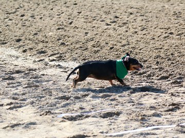IMG 9862