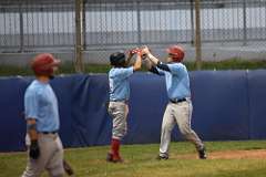 228: baseball_228