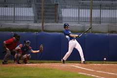 238: baseball_238