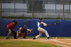 239: baseball_239