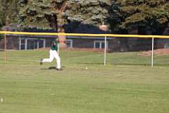 28: baseball_028