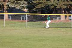 29: baseball_029