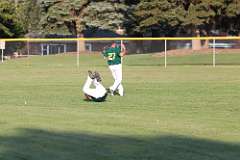 39: baseball_039