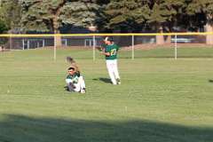 43: baseball_043