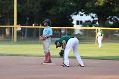 81: baseball_081