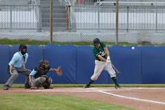 100: baseball_100