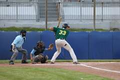 110: baseball_110