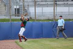 169: baseball_169