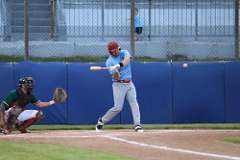 224: baseball_224