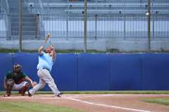 233: baseball_233