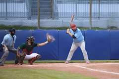 235: baseball_235