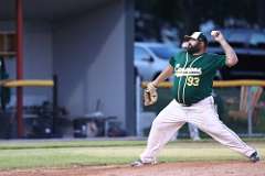 236: baseball_236