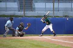 239: baseball_239