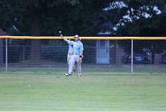 242: baseball_242