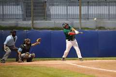 251: baseball_251