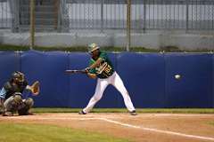 259: baseball_259