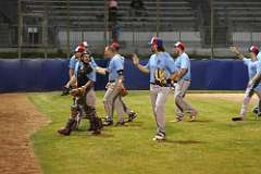 291: baseball_291