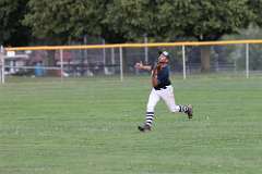 154: baseball_154