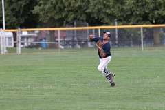 155: baseball_155