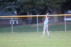 220: baseball_220