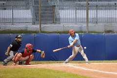 231: baseball_231