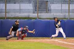241: baseball_241