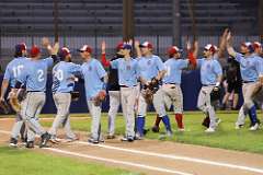 263: baseball_263