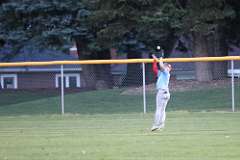 36: baseball_219