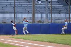 37: baseball_226