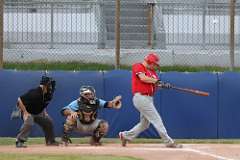 100: baseball_100