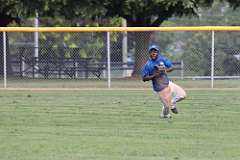 28: baseball_028