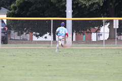 54: baseball_054