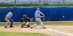 237: Baseball Aug 13 21237-denoise-clear