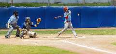 240: Baseball Aug 13 21240-denoise-clear