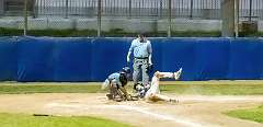 270: Baseball Aug 13 21270-denoise-clear
