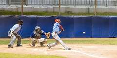 295: Baseball Aug 13 21295-denoise-clear