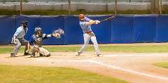 331: Baseball Aug 13 21331-denoise-clear