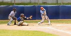 342: Baseball Aug 13 21342-denoise-clear