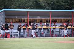 100: baseball_100