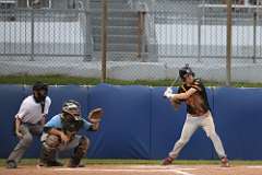101: baseball_101