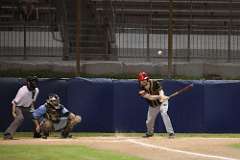 203: baseball_203