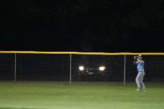 208: baseball_208
