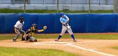 143: Baseball Aug 20143-denoise-low-light