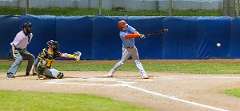 170: Baseball Aug 20170-denoise-low-light