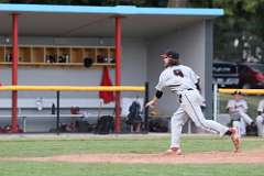 15: baseball_2966