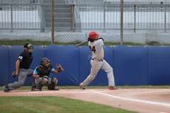 39: baseball_3116
