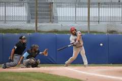 41: baseball_3131