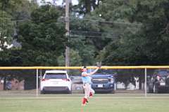 45: baseball_3153