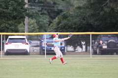 46: baseball_3154