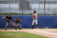 69: baseball_3282
